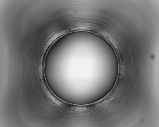 X0000099440890200805161131