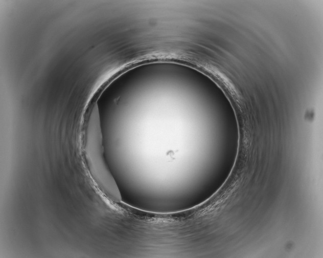 X0000099440894200805161131