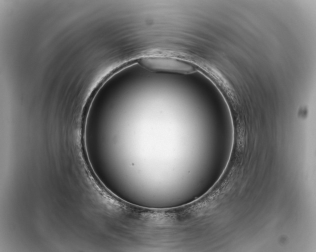 X0000099440896200805161131