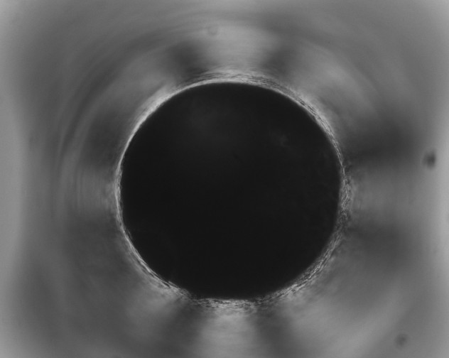 X0000099440899200805161131