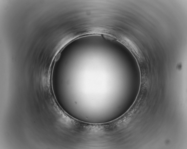 X0000099440900200805161131