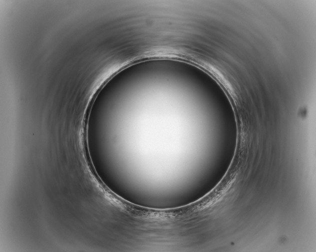X0000099440901200805161131