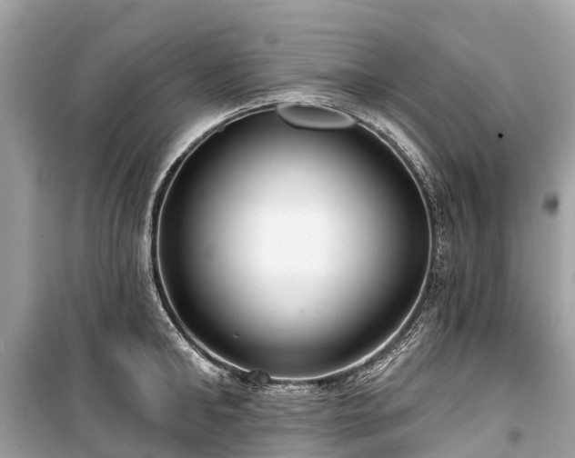 X0000099440902200805161131
