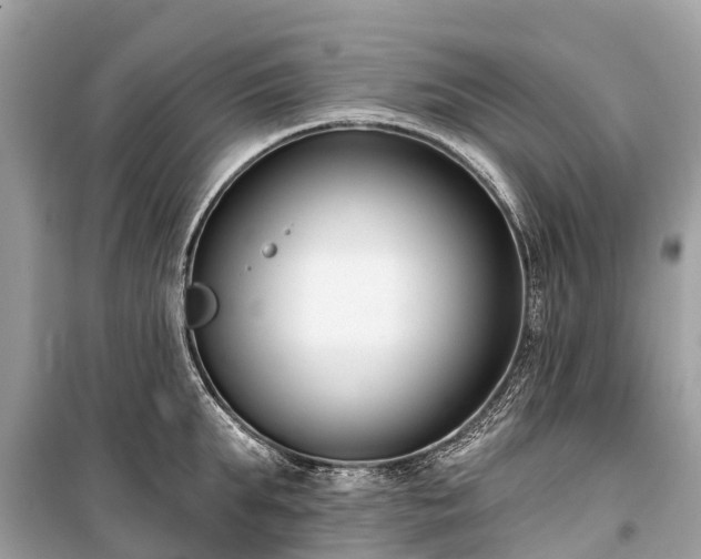 X0000099440903200805161131