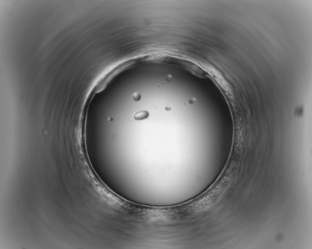 X0000099440904200805161131
