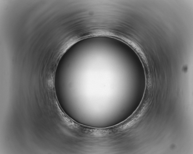 X0000099440905200805161131