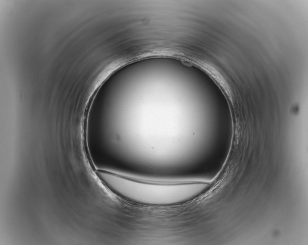 X0000099440906200805161131