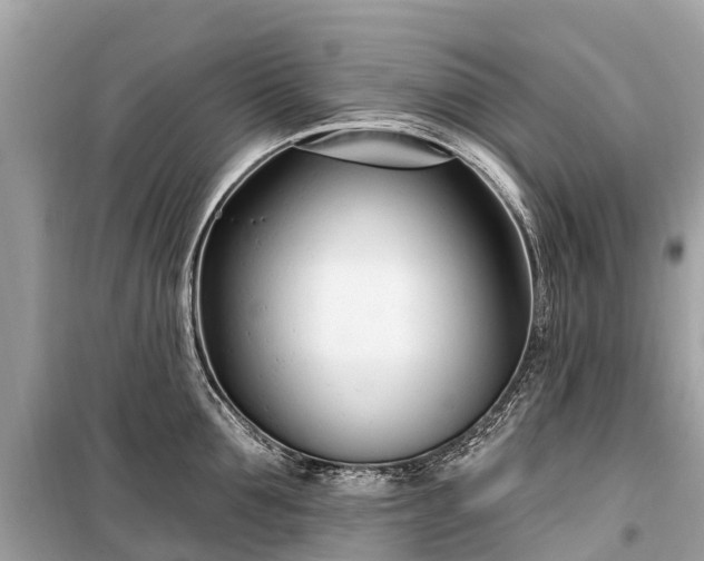 X0000099440907200805161131