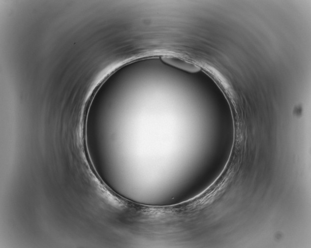 X0000099440910200805161131