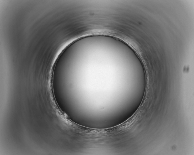 X0000099440912200805161131