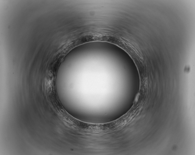 X0000099440914200805161130