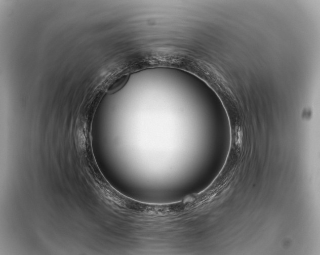 X0000099440915200805161130
