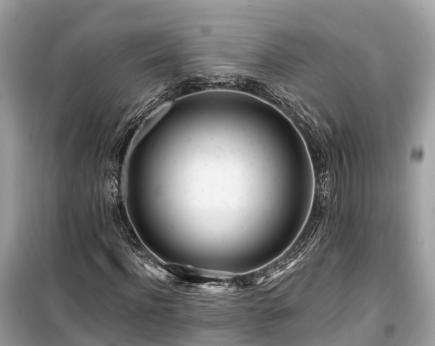 X0000099440916200805161130