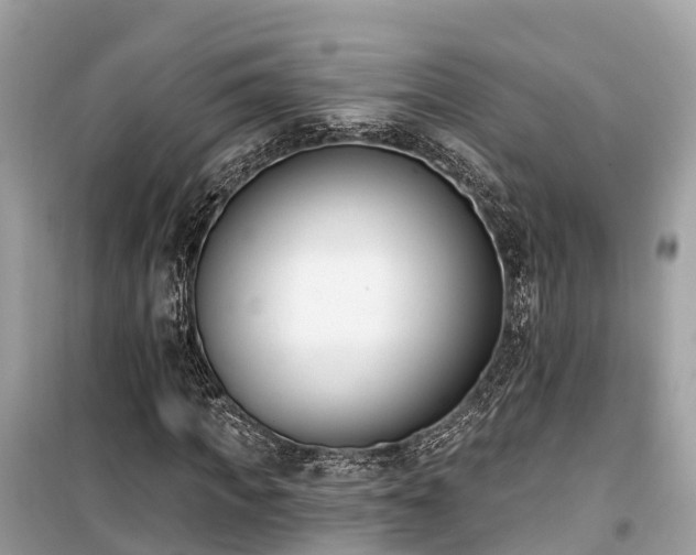 X0000099440917200805161130