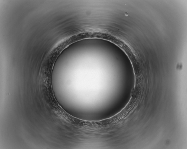 X0000099440919200805161130