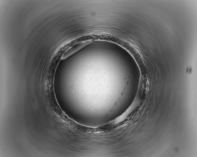 X0000099440920200805161130