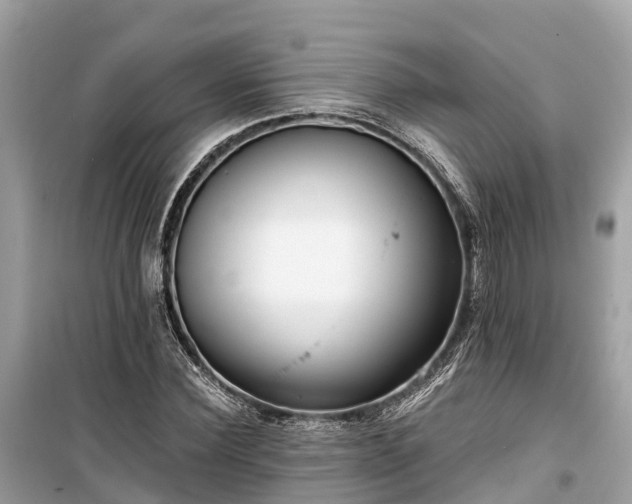 X0000099440924200805161130