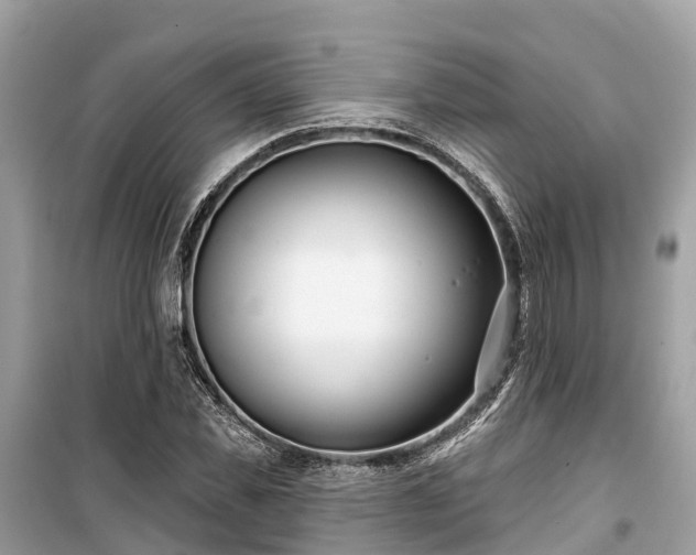 X0000099440925200805161130