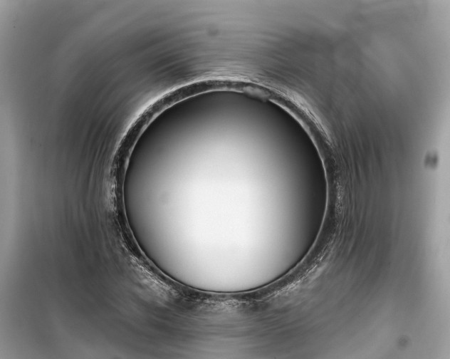 X0000099440926200805161130
