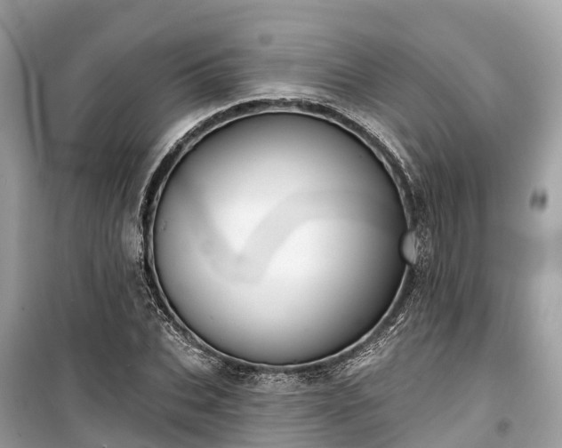 X0000099440927200805161130