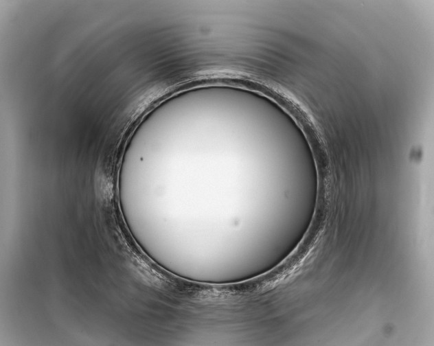 X0000099440929200805161130