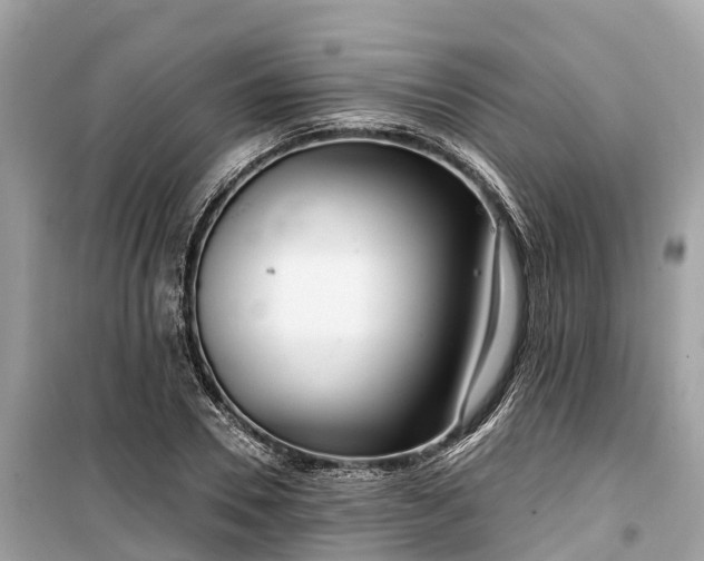 X0000099440930200805161130