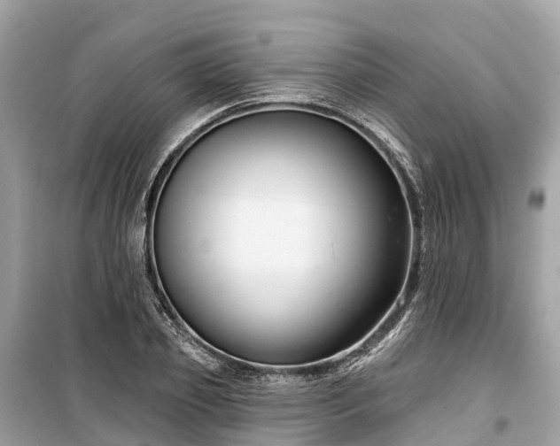 X0000099440933200805161130