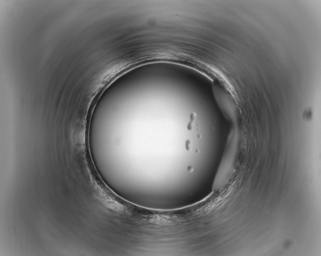 X0000099440938200805161130