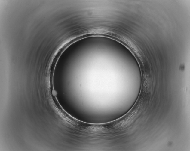 X0000099440939200805161130