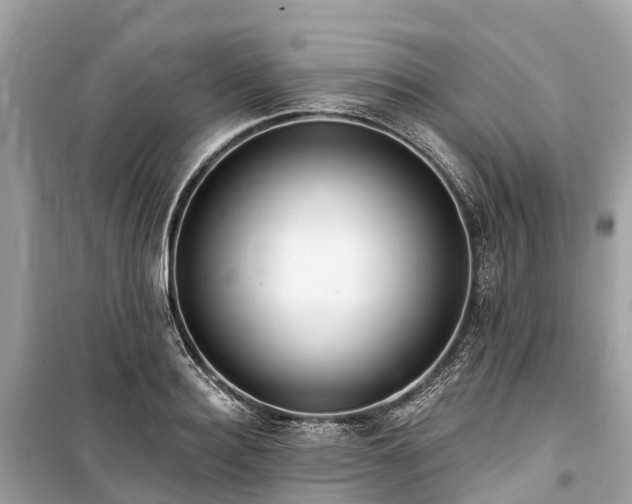 X0000099440940200805161130
