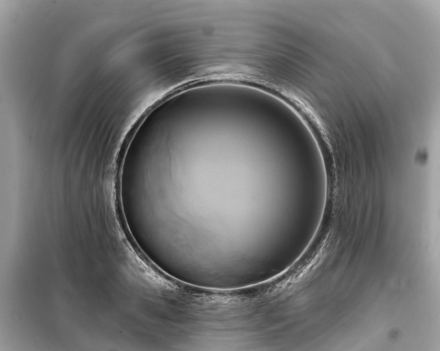 X0000099440941200805161130