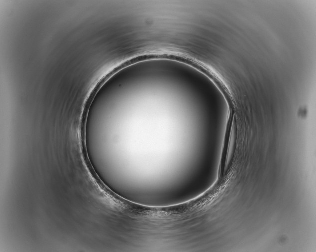 X0000099440943200805161130