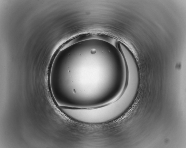 X0000099440944200805161130