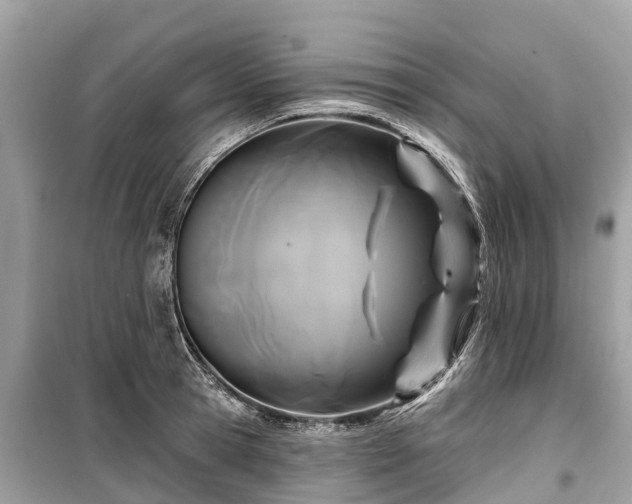 X0000099440945200805161130