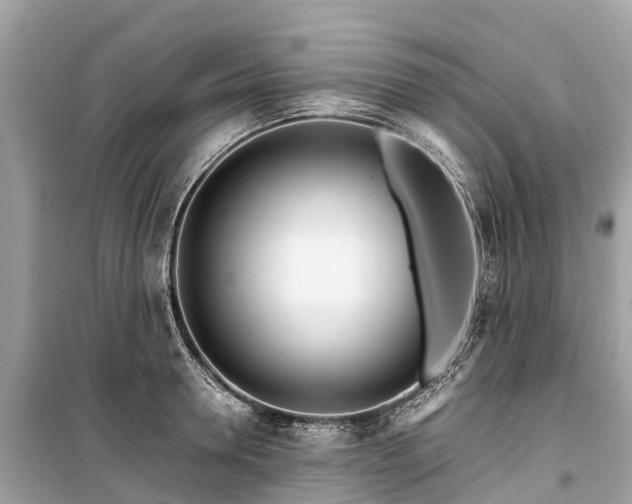 X0000099440946200805161130
