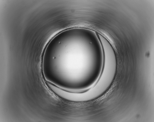 X0000099440948200805161130