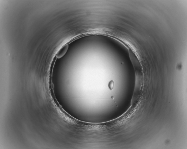 X0000099440949200805161130