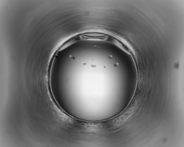 X0000099440951200805161130