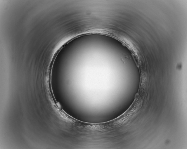 X0000099440952200805161130
