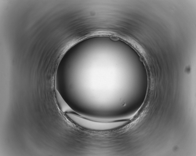 X0000099440953200805161130