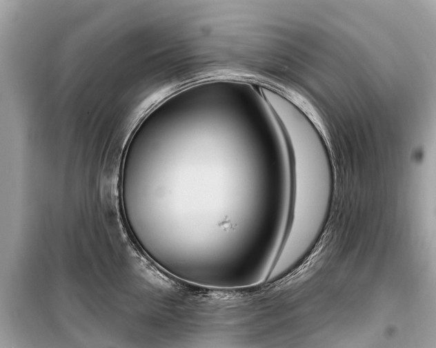 X0000099440954200805161130