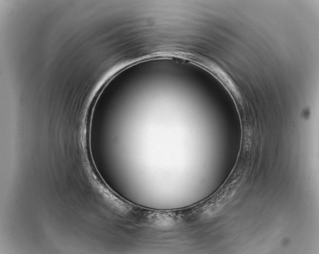X0000099440955200805161130