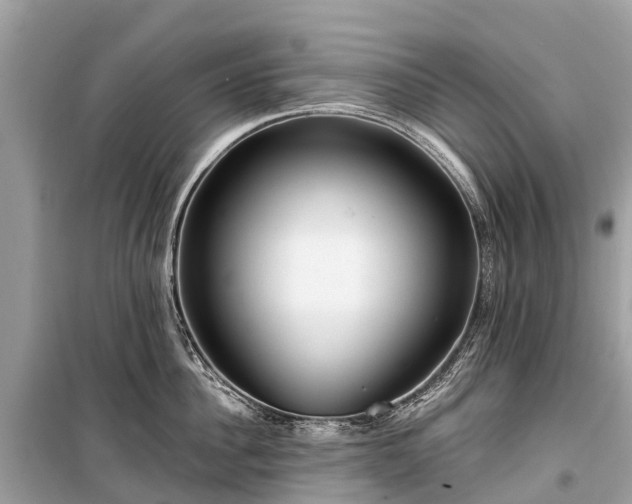 X0000099440956200805161130