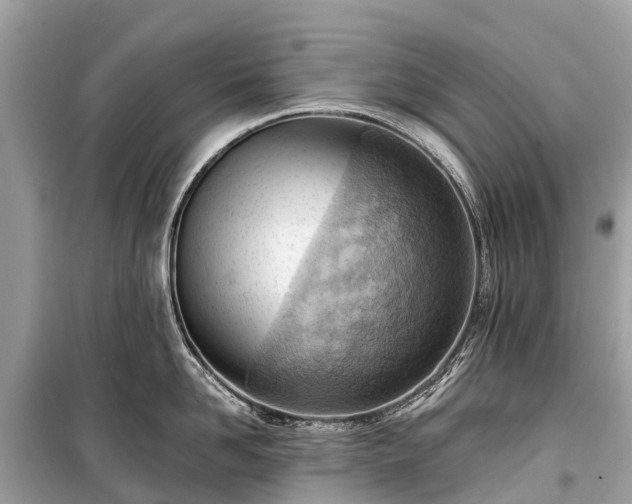 X0000099440958200805161130