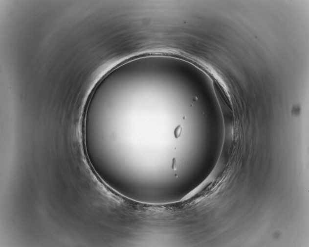 X0000099440959200805161130