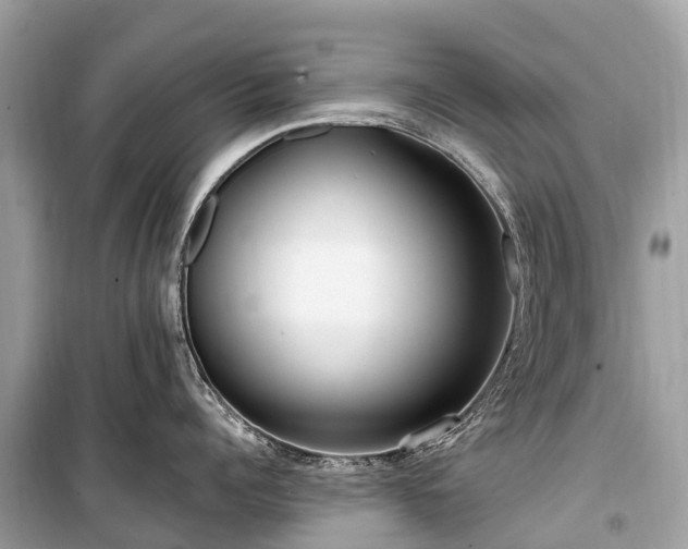 X0000099440960200805161131
