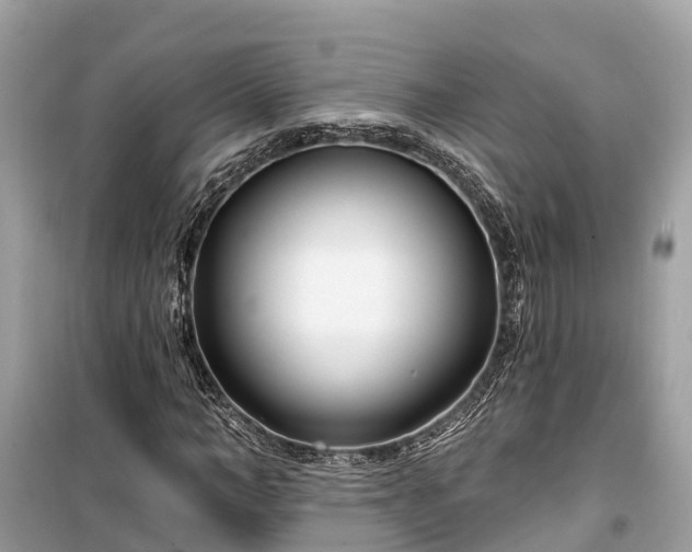 X0000099440966200805161130