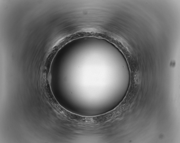 X0000099440968200805161130