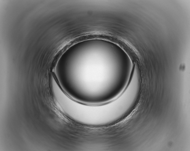 X0000099440969200805161130