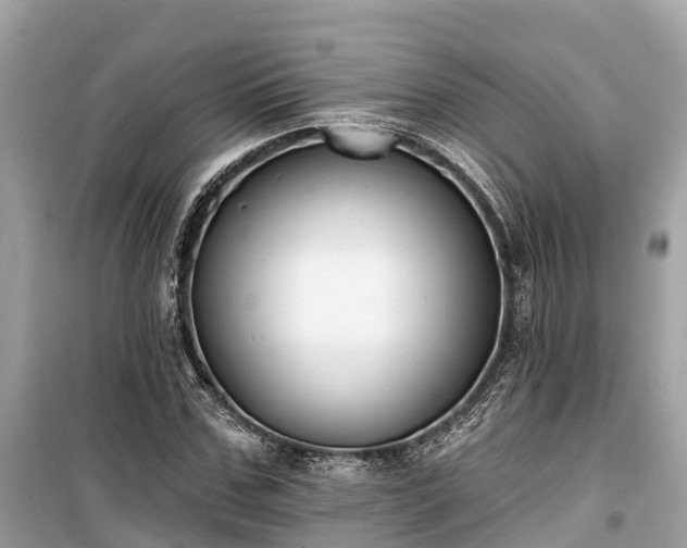 X0000099440971200805161130